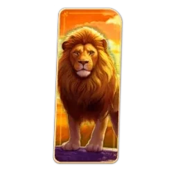 Lion
Safari